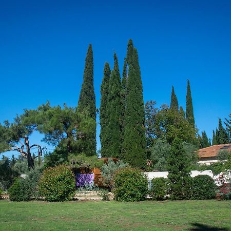 Vintage Provence Arles Quarto foto
